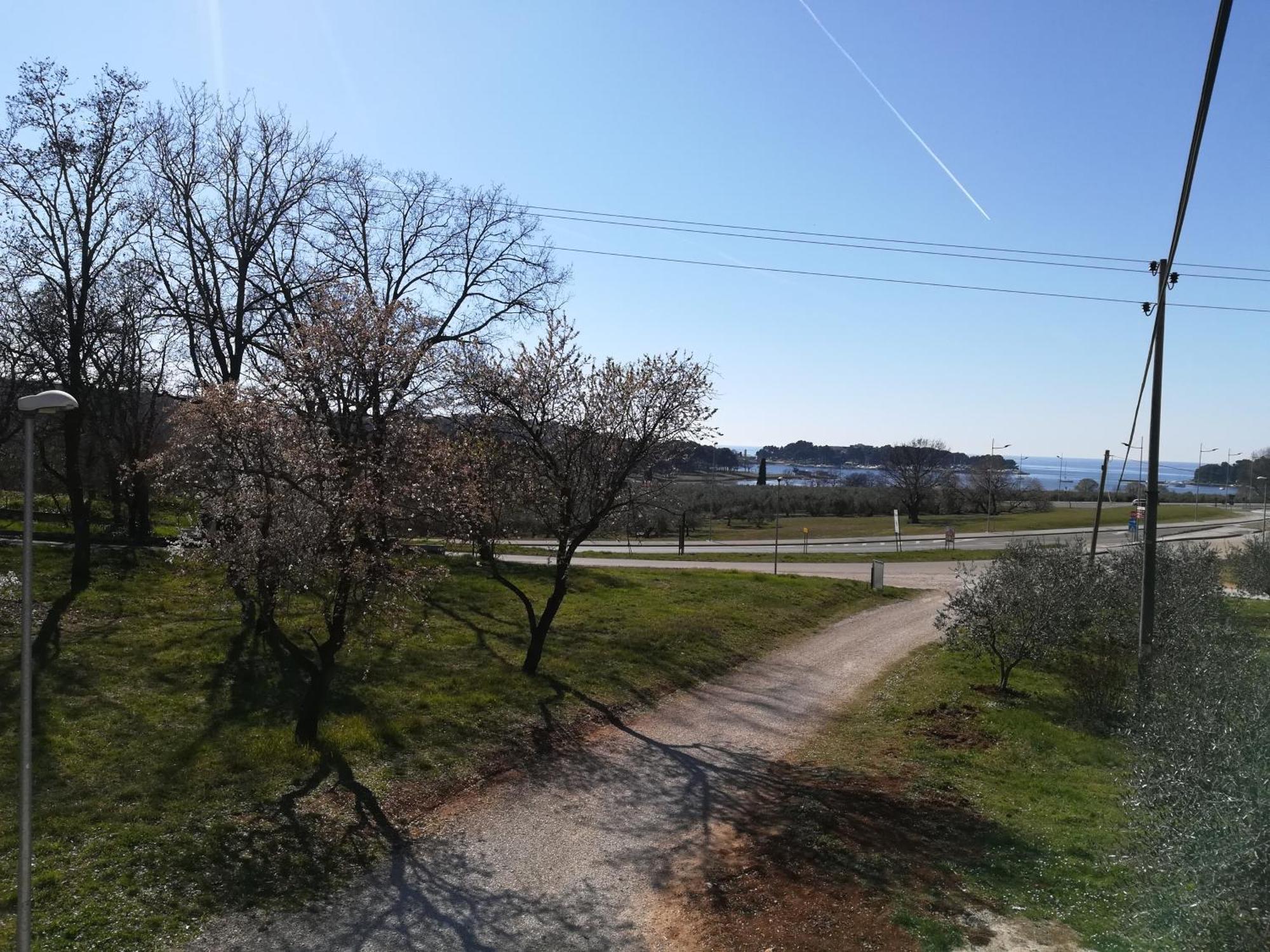 Guesthouse Poreč Exteriér fotografie